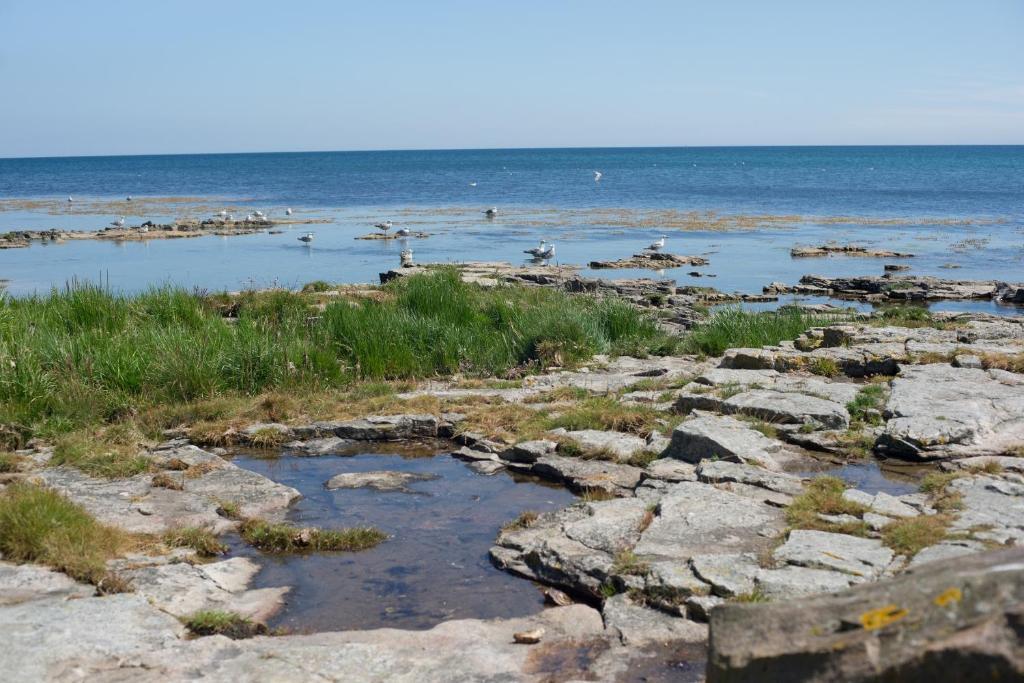 Strandhotel Balka Sobad Neksø Esterno foto